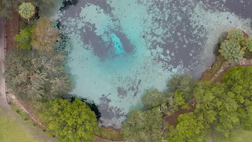 Aerial topdown view of natural Florida spring