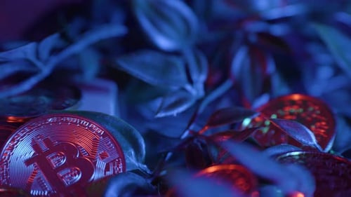 Macro Shot of Bitcoin Tokens Under Blue Lighting