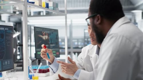 Multiracial Lab Engineers Inspect Liquids in Test Tube