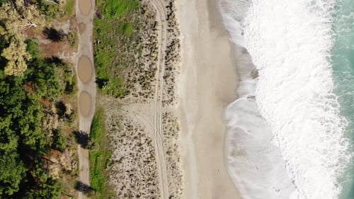 Vertical Waves of Ocean Crashing Near the Pine Forest on the Coast
