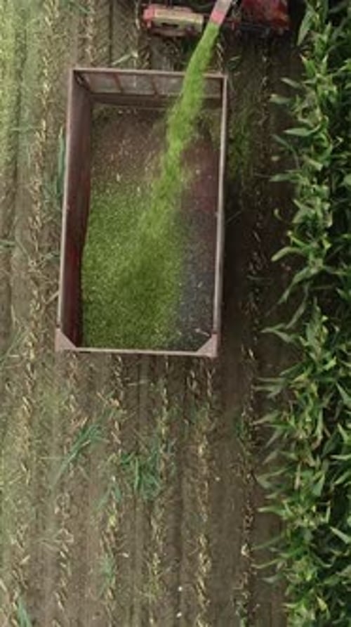 Vertical Video of Farmer in tractor seeding corn Aerial View