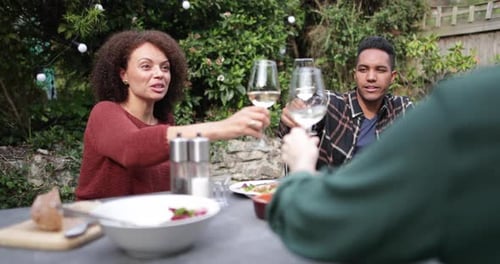 Friends clinking wine glasses during outdoor garden party