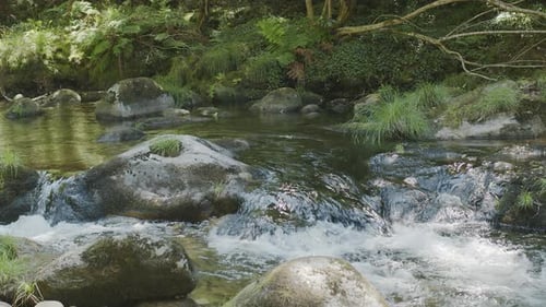 Pure, sparkling and cascading water of nearby stream close up. Mountain clear stream in the forest.