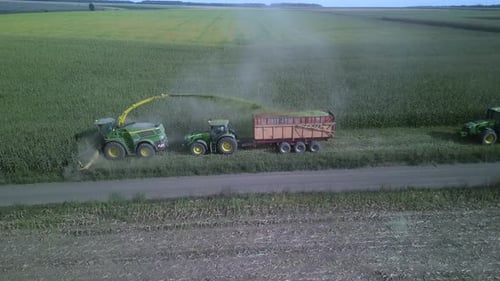 Corn Silage Harvesting with Forage Harvester on Field