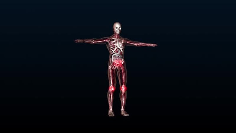 Human Muscular System Torso Muscles Pectoral Muscles Anatomy Animation ...