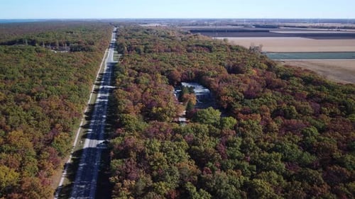 Autumn Colors Along a Long Forest Road Bordering Open Farmland