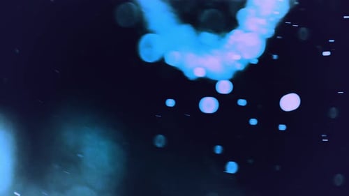 Elegant Particle Light Logo Reveal Opener