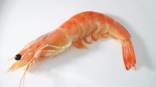 Cooked shrimp with shell in stunning footage. 4K.