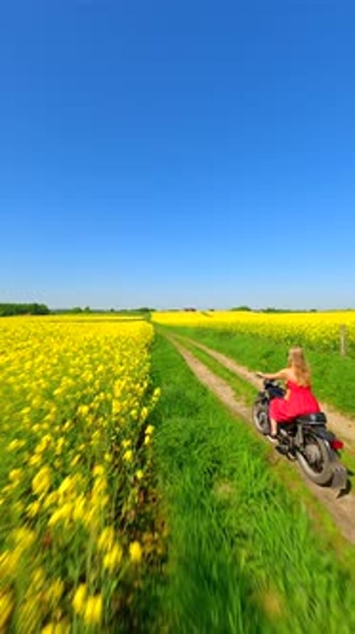 FPV of Woman in Red Dress and Dog Riding a Vintage Motorcycle in the Countryside