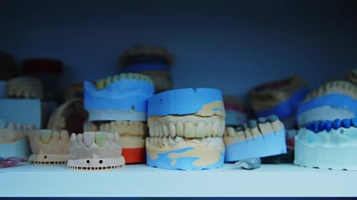 Produced stomatology teeth models for dentistry clinic.