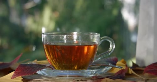 Steaming green tea in a glass cup