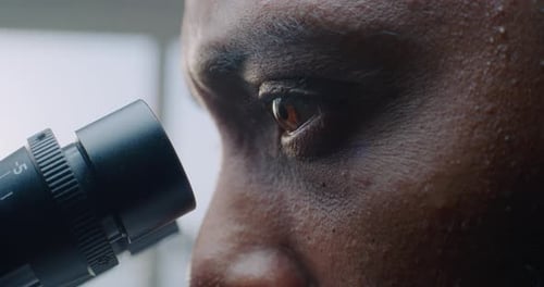 African American Biochemist Looks Under Microscope Macro Close Up