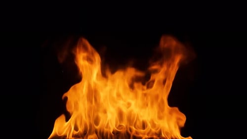 Flamme de
feu réaliste isolée sur fond noir. Des langues de feu éclatant. Superposition d'animation gravée