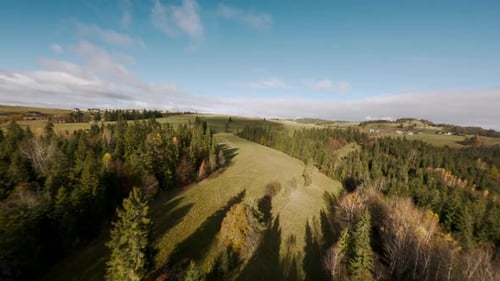 Pine Forest FPV Drone Aerial Landscape in Tatra Mountains, Daylight Skyline in clean sparse rural ar