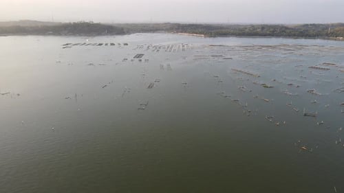 Aerial sunset view of cultivate fish on the lake such as cat fish is alternative to divers the food