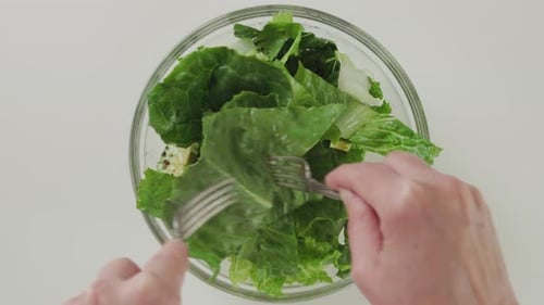 Woman mixing salad. Lettuce, celery, and avocado salad with mozzarella