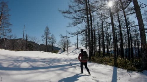 a man trekking a sunny winter mountain