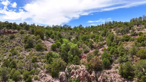 Aerial view of rocky terrain with trees, United States.