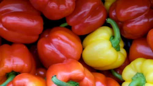 A fresh colorful pepper close-up, natural background and texture.