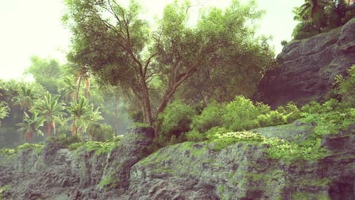 Lush Green Landscape with Trees and Rocky Terrain at a Tropical Destination
