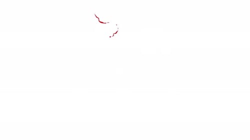 Fluid Red Ink Splatter Reveal Transition
