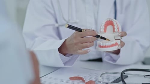 Person Explains Procedure with Teeth Model