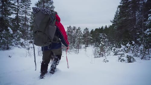 Backpacker With His Pet Dog Trekking In Extreme Snow Forest Mountain. Static Shot