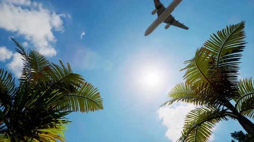 Airplane flying over palm trees
