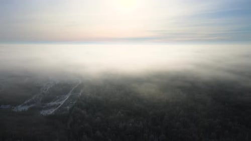 Aerial View of Foggy Morning Over Snow Covered White Forest with Frozen Trees in Cold Winter