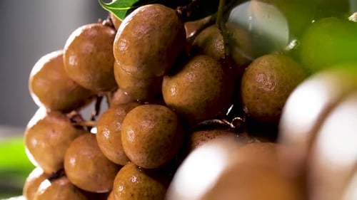 Bunch of Fresh Longan Fruit, Close Up