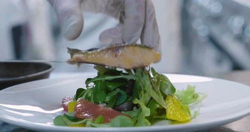 Chef Plates Gourmet Salad with Citrus and Fish