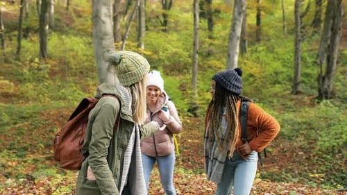 Three female friends enjoying hiking in forest on a beautiful autumn day.