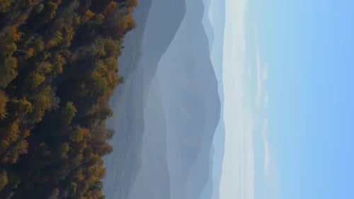 Vertical Video