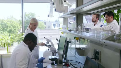Scientist and Students Working in Lab Doctor Teaching Interns to Make Analyzing Research Laboratory