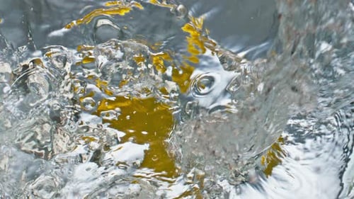 Lemon Slices Submerged in Refreshing Water Bubbles