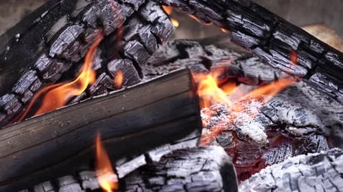Wood Burns in the Fire