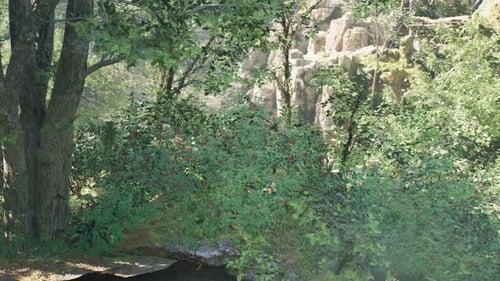 Lush Green Forest Fly Through Animation