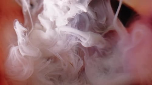 White Ink Plumes Swirling in Liquid