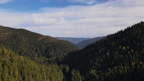 Drone Flies Forwards Through Valley Aerial View of the Carpathian Forests and Mountains