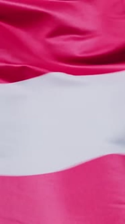 Flag Waving Dynamically in the Breeze