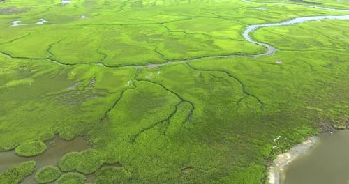 Aerial View of Florida Wetlands with Green Vegetation Between Water Inlets and Waterways Natural