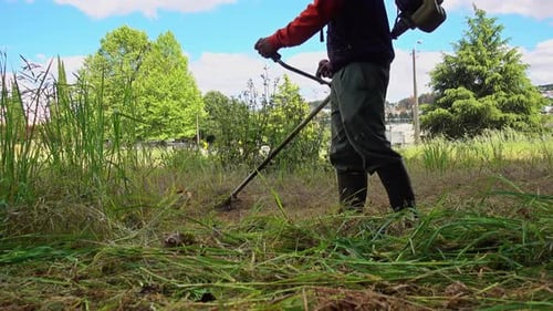 Der Gärtner mäht Unkraut. Mann schneidet Gras im Garten mit einem Fadenschneider
.