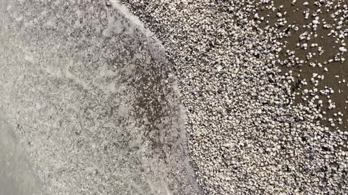 White Foam Waves of Sea on Pebble of Seashells Slow Motion Sea Foam Waves at Coast Beach Vacation