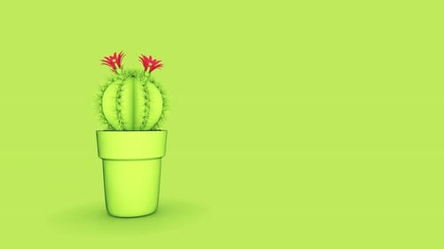 Cactus Green