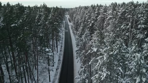 A Stunning Aerial View Showcasing a Snow Covered Road Winding Through a Peaceful Winter Forest
