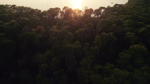 Drone Over Trees On Island Towards Sunset Off The Coast Of Dubrovnik