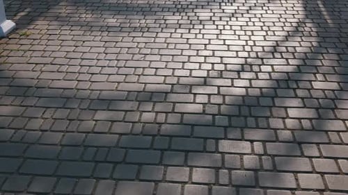 Patterned Cobblestone Pavement Surface with Diagonal Tree Shadows