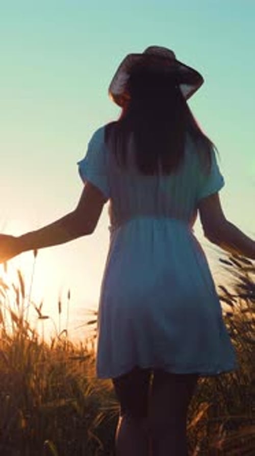 Carefree Beautiful Woman in White Dress and Straw Hat Walking Alone in Rye Field Back View Enjoying