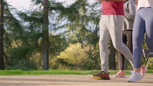 Active Senior Friends Jogging Together Outdoors in a Park