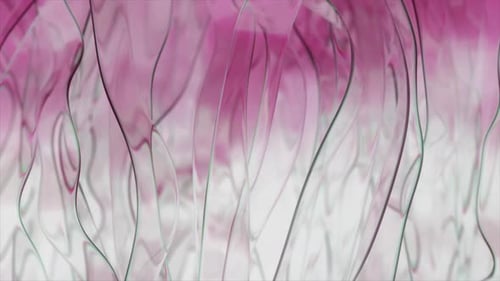 Smooth Pink and Green Gradient Lines Flow and Undulate Gracefully Against a Clean White Background